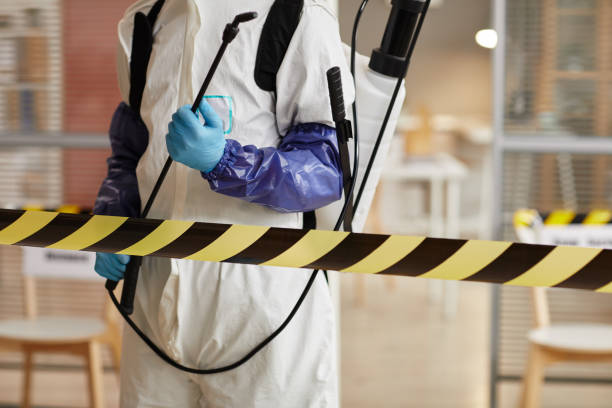 Professional Hoarding Cleanup technician working in White Hall, MD